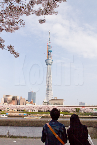 1/250 秒 (f / 8.0)  17 mm